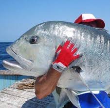 Fishing Tour