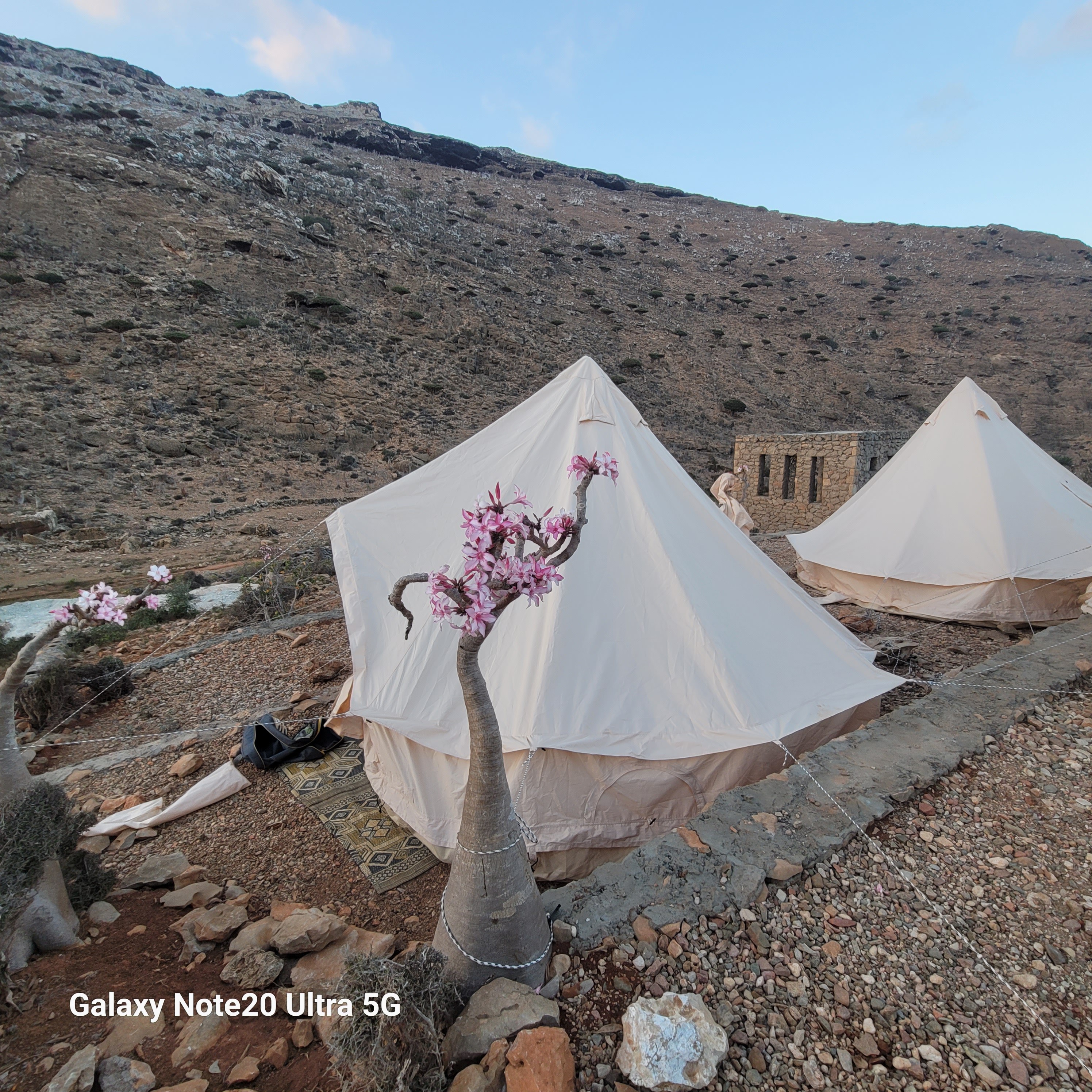 Comfortable desert camp accommodation