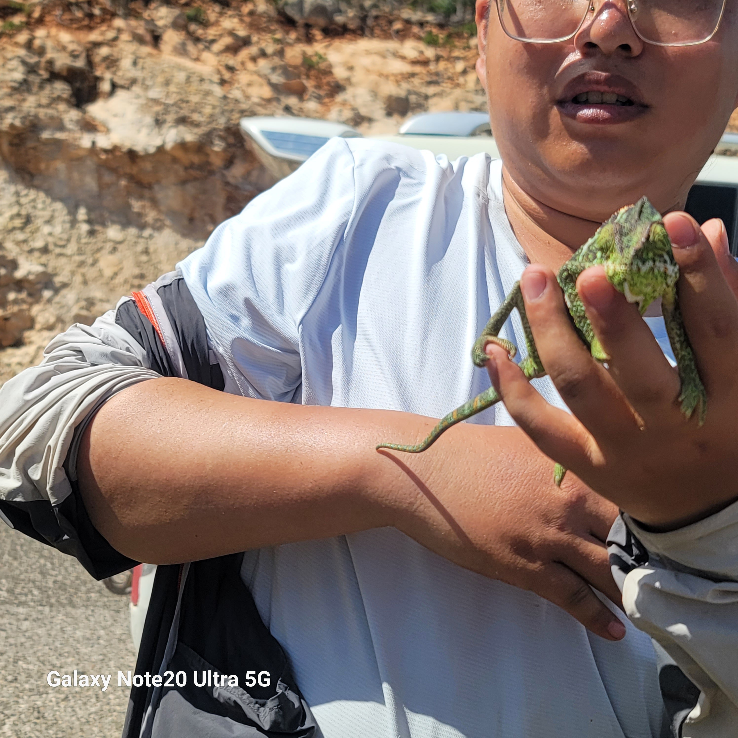 Socotra nature detail with visitors